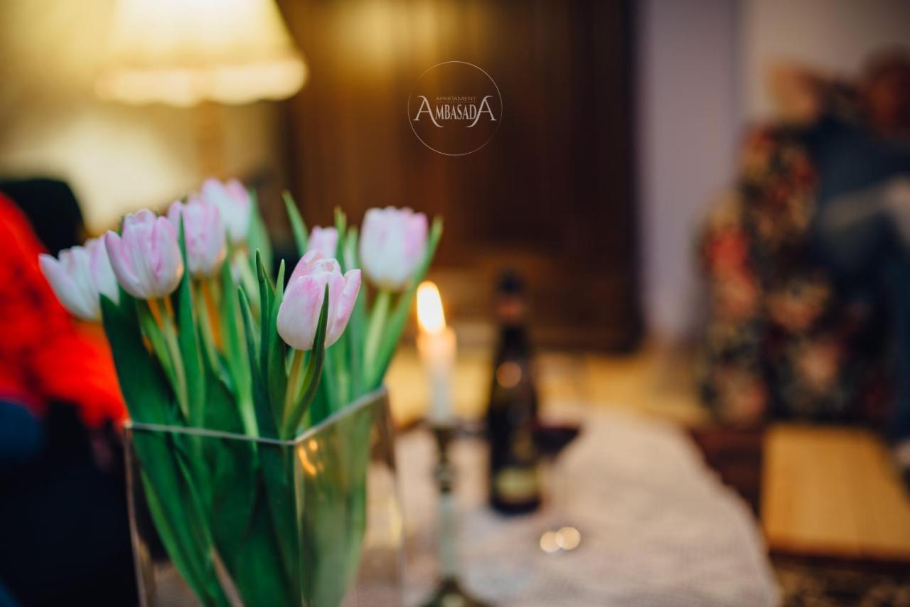 Apartament Ambasada Zamość Exteriér fotografie